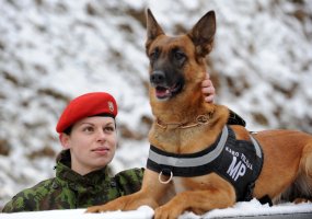 Karo policijoje tarnybą pradėjo dvi aviganės Maja ir Meira  - 2