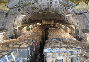 Member of Lithuanian forces assisted in delivering humanitarian aid to Haiti  - 1