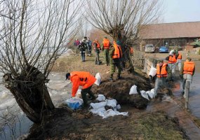 Kariai atstato pralaužtus pylimus Nemuno žemupyje Pagėgių savivaldybėje - 2