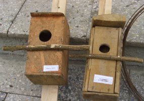 Įgulų aptarnavimo tarnybos Ruklos įgulos aptarnavimo centro darbuotojai paminėjo Žemės dieną - 1