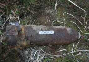 Kariuomenės išminuotojai sunaikino buvusiame Rūdninkų poligone rastas aviacines bombas - 1