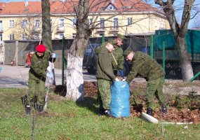 Krašto apsaugos savanorių pajėgų Žemaičių apygardos 3-oje rinktinėje balandis – švaros mėnuo - 3