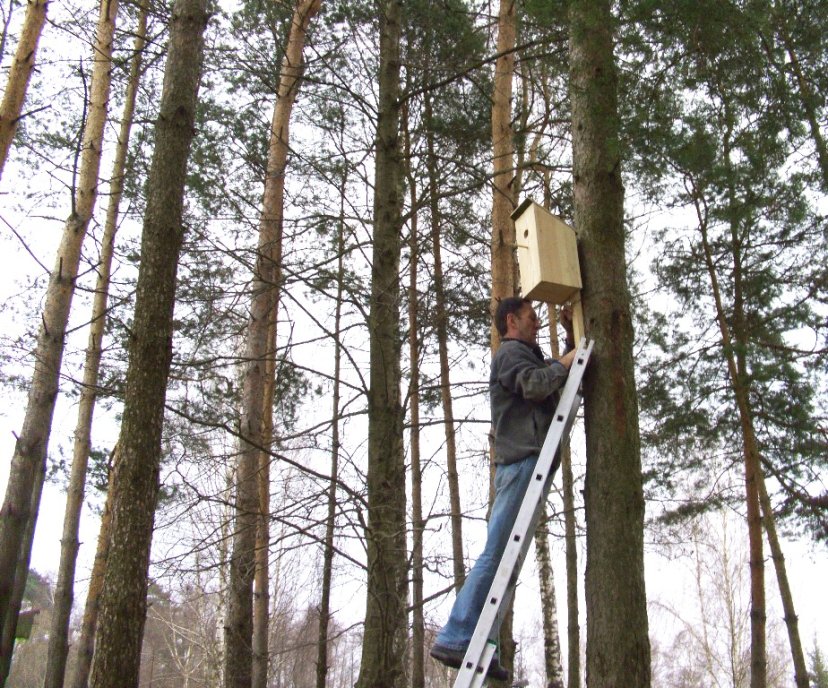 Įgulų aptarnavimo tarnybos Ruklos įgulos aptarnavimo centro darbuotojai paminėjo Žemės dieną
