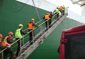  Logistikos valdybos kariai dalyvavo pratybose Belgijoje, Olandijoje ir Vokietijoje  - 2