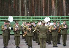 Partizanų pagerbimo, kariuomenės ir visuomenės vienybės šventė Nemenčinėje - 1