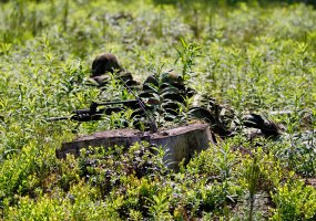 ES kovinės grupės vadas brg. gen. S. Wojciechowskis Pabradės poligone stebėjo Lietuvos karių... - 5