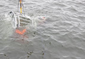 Baltijos jūroje baigėsi tarptautinės pratybos „Baltic Bikini 2010“ - 1