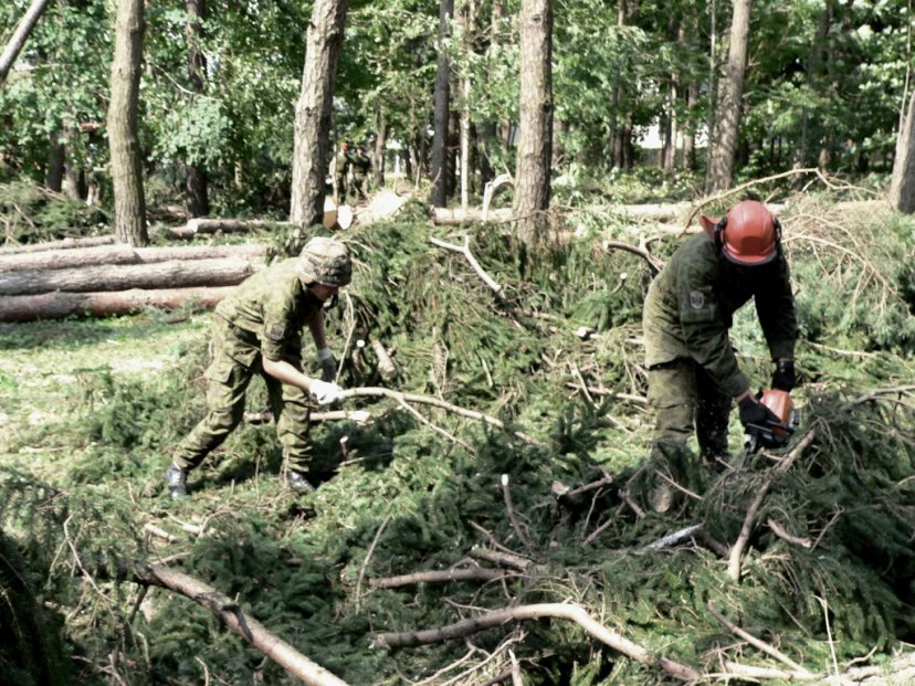 Kariai tęsia audros padarinių Kaune likvidavimo darbus