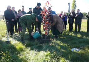 Kariuomenės vado ąžuolas papuošė Žalgirio parką - 2