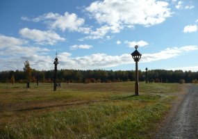Kariuomenės vado ąžuolas papuošė Žalgirio parką - 5
