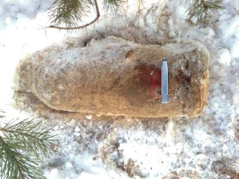 Inžinerijos bataliono kariai sunaikino Vilniuje rastą aviacinę bombą 