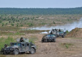 Tarptautines pratybas „Gintarinė viltis 2011“ Pabradės poligone stebėjo ir Vyriausioji šalies... - 1