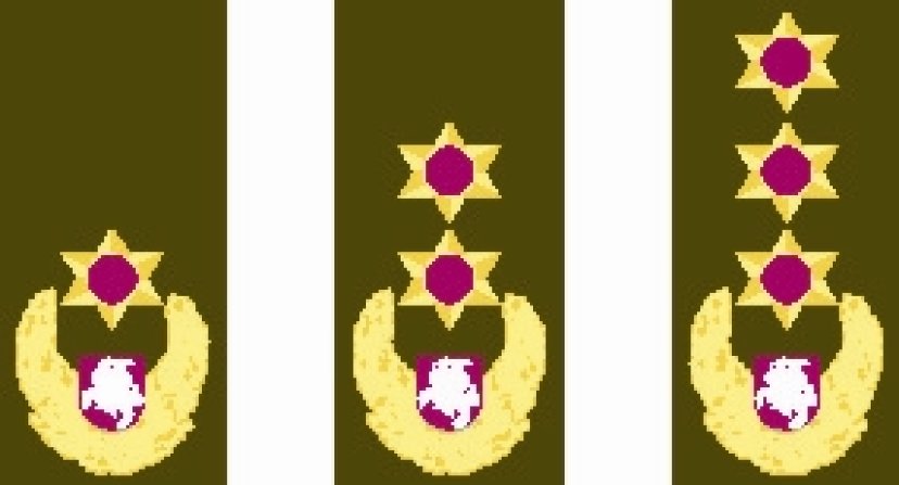 Decrees of the President of Lithuania on higher military ranks came into force