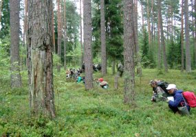 Lietuvos kariuomenės mokyklos Kazlų Rūdos poligone – jaunųjų šaulių stovykla - 1