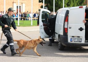 Per profesinio ugdymo dieną Mindaugo batalione – nuotaikingi moksleivių balsai - 3