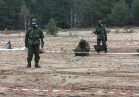 Nuo kitų metų taikos meto užduotis Lietuvos teritorijoje vykdysiančios pajėgos - pasirengusios  - 5