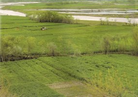 Goro provincijos atkūrimo grupės stovykloje - Afganistano fotografų nuotraukų paroda  - 4