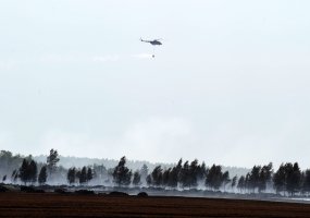 Taikos meto užduočių operacinėse pajėgose budėjimą perims nauja karių pamaina - 1