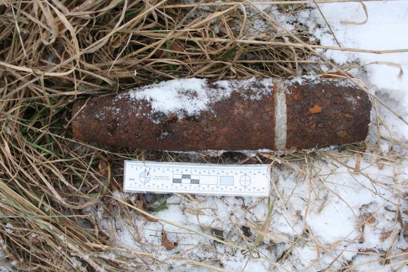 Sprogmenų neutralizavimo specialistams ir ne sezono metu darbo netrūksta 
