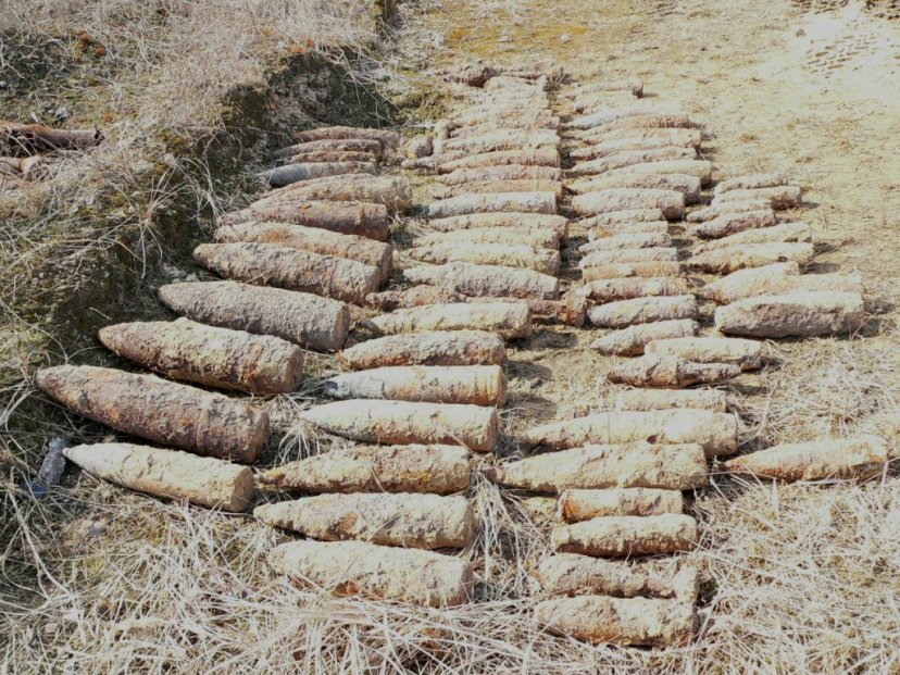 Sprogmenų neutralizavimo sezonas kariuomenės specialistams prasidėjo