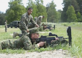 Lithuanian and US military personnel train together at Kairiai  - 3
