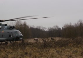 Valuable military assistance experience of the Special Operations Forces shared with Lithuanian... - 1