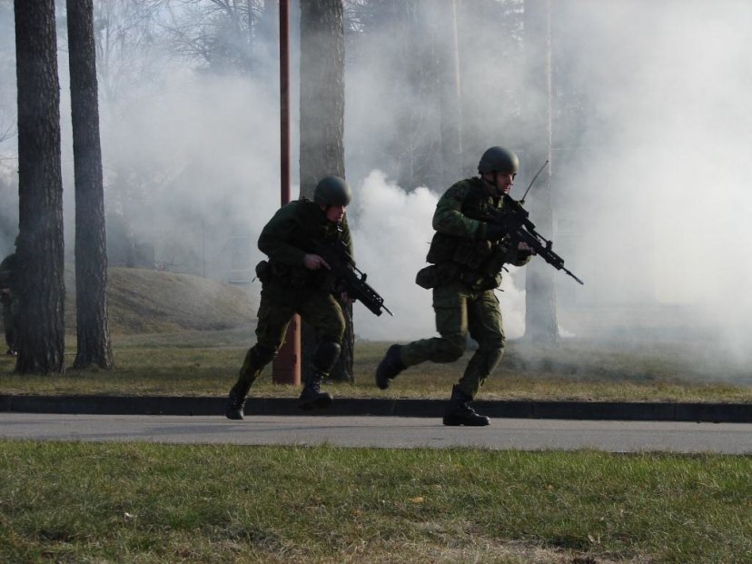 Domestic Support Forces entered first stand-by semester 