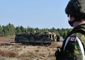 Baigėsi tarptautinės pratybos „Klevo skliautai 2012“ - 3