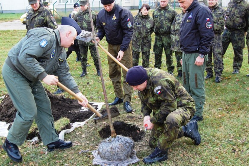 First tree was planted in NATO countries’ alley of trees