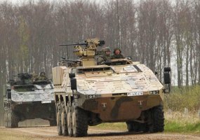 Ką veikia ginkluotės kontrolės inspektoriai? - 6
