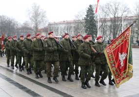 Krašto apsaugos savanorių pajėgos minės 22-ąsias įkūrimo metines - 1