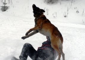 Algirdo bataliono karių pratybose – objekto žvalgyba, pasala, akistata su šunimis ir bepiločiai... - 2
