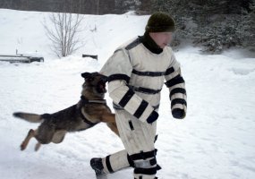Algirdo bataliono karių pratybose – objekto žvalgyba, pasala, akistata su šunimis ir bepiločiai... - 3