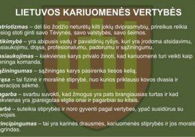 Daugiau dėmesio bus skiriama kariuomenės vertybių puoselėjimui  - 1