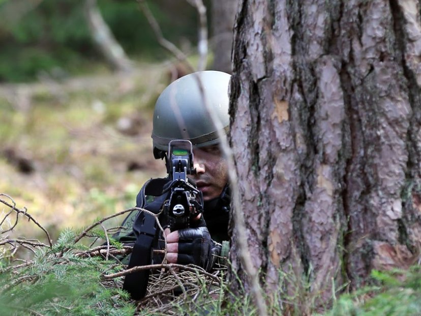 Kęstučio batalione - pratybos „Vilkų pavasaris 2013“