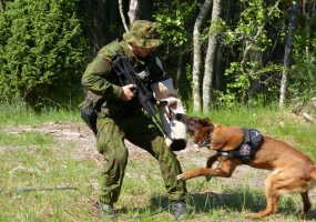 Lauko taktinės žvalgų pratybos „Bendradarbiavimas - 2013“ - 2