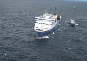 Karinės jūrų pajėgos treniravosi greitai ir efektyviai atlikti gelbėjimo operacijas  - 3