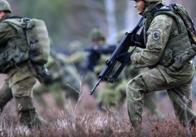 Nuo 2014 metų pradžios keičiasi trijų Sausumos pajėgų dalinių pavadinimai - 3