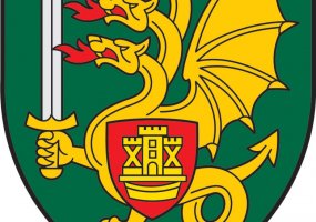 Nuo 2014 metų pradžios keičiasi trijų Sausumos pajėgų dalinių pavadinimai - 6