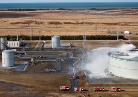 Šiemet Sausumos pajėgų kariai kovinį budėjimą vykdys nacionaliniams poreikiams tenkinti - 3
