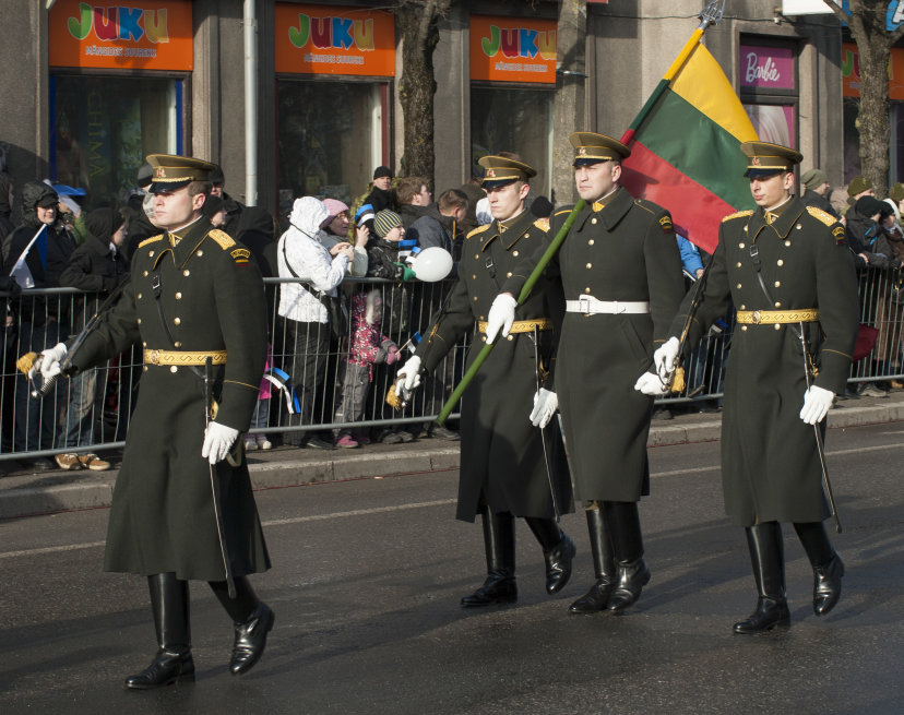 Lietuvos kariai stojo į bendrą rikiuotę su Estijos kariais