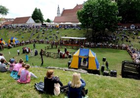 Powerful strokes of an ancient-style saber earned a 27 years old Lithuanian knight the saber of... - 1