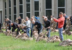 Vaidoto batalione – parengtojo rezervo karių mokymų pradžia - 6