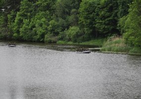 „Rakštis 2014” – algirdiečių žvalgų išbandymas - 1