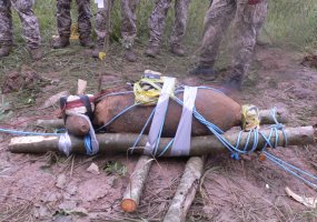Inžinerijos bataliono kariai patirtimi dalijosi su Latvijos kariais bendrose sprogmenų... - 5