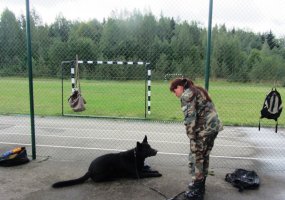 Lietuvos karių ir Valstybės sienos apsaugos tarnybos kinologų mokymai „Sprogmenų paieška su... - 3
