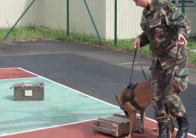 Lietuvos karių ir Valstybės sienos apsaugos tarnybos kinologų mokymai „Sprogmenų paieška su... - 4