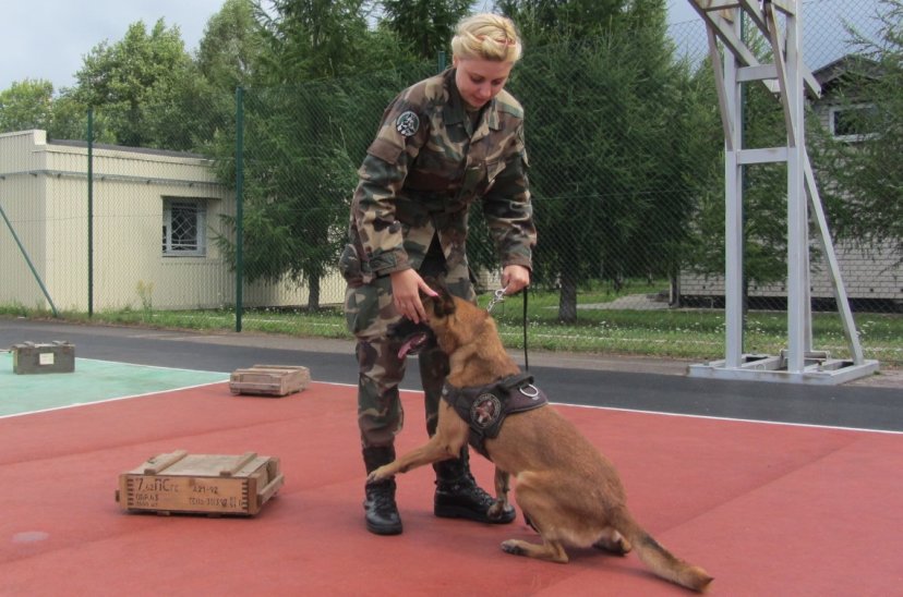 Lietuvos karių ir Valstybės sienos apsaugos tarnybos kinologų mokymai „Sprogmenų paieška su...