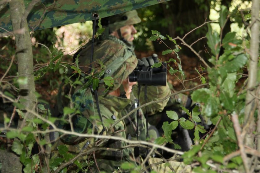The home straight at Exercise Saber Junction 2014 