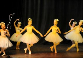 Lietuvos didžiosios kunigaikštienės Birutės karininkų šeimų moterų sąjungos Vilniaus draugija... - 4